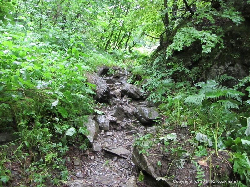 Manchmal ist der Aufstieg auch ber nasse Steine und kleine Felsen notwendig