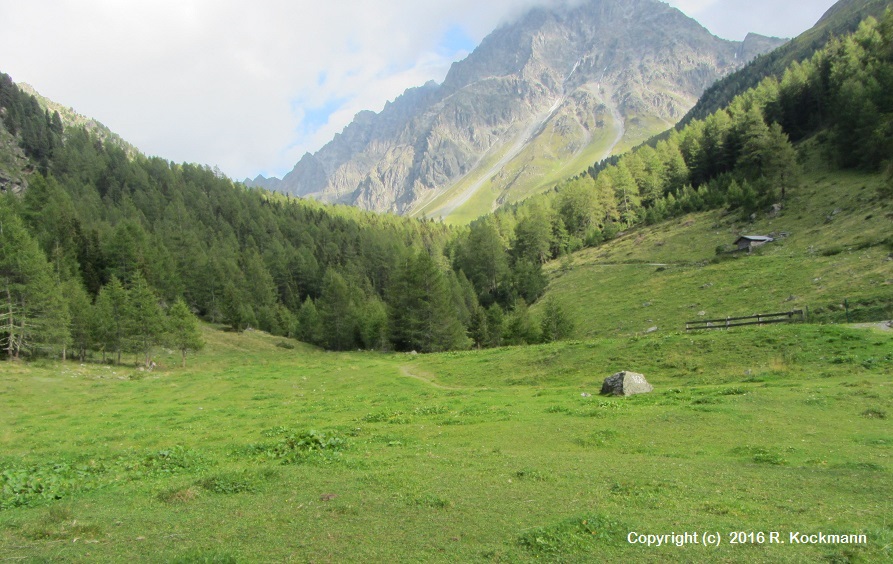 An der Verpeilalm wechseln wir auf den Weg 926, jetzt nur noch 1/2 Std. zur Verpeilhtte