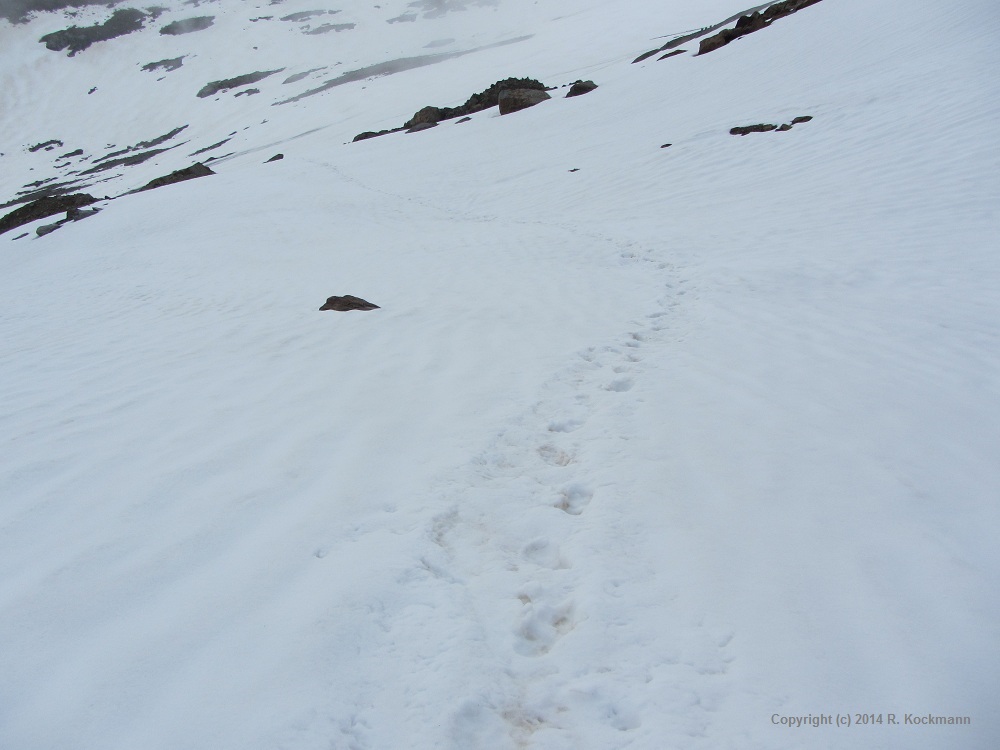 Eine Spur im Schnee zeigt an, dass hier schon jemand gelaufen ist