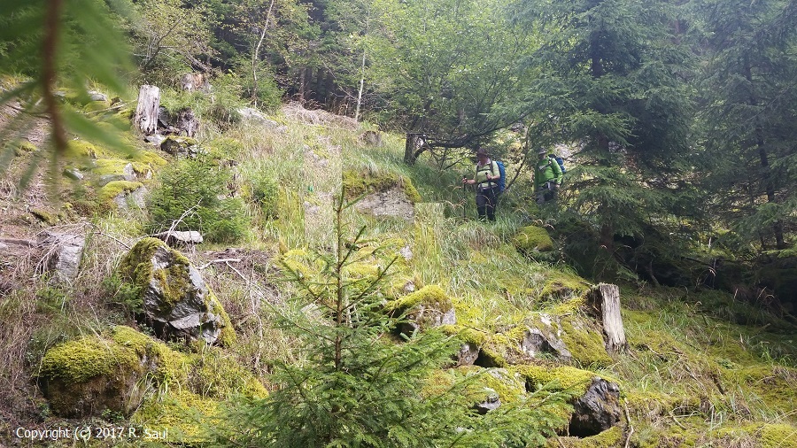 Durch dichten Busch bergab zum "Waldcafe"