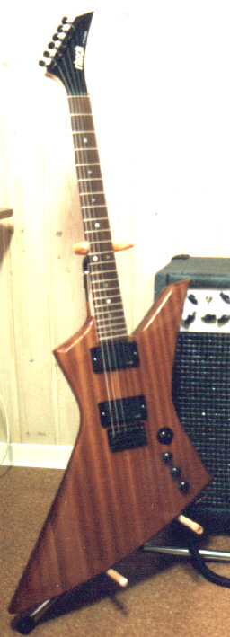 Fertige Gitarre